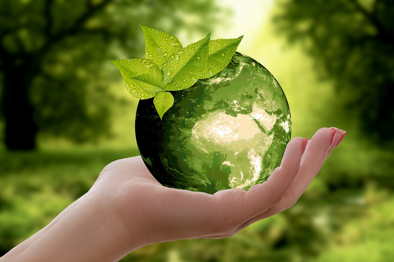 Nowoczesne wyzwania ekologiczne a rola doradztwa ekologicznego