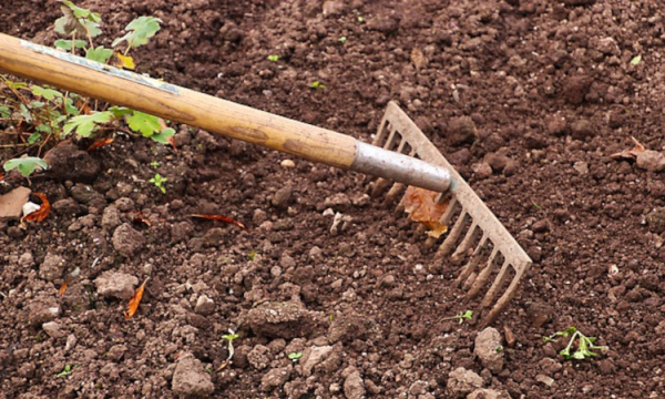 Sekrety długowieczności narzędzi ogrodowych: przechowywanie, czyszczenie i konserwacja