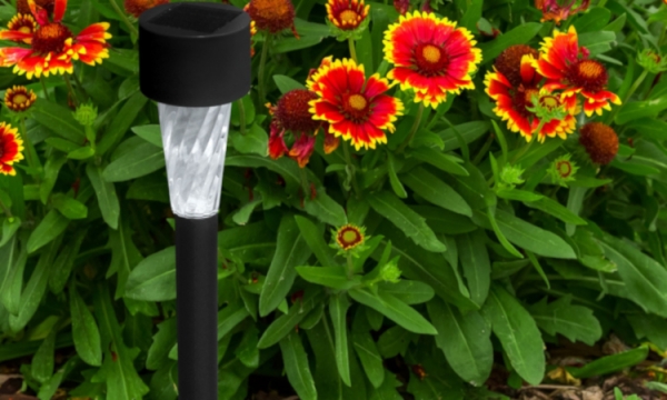 Lampki solarne – zobacz, jak przyozdobić światłem ogród