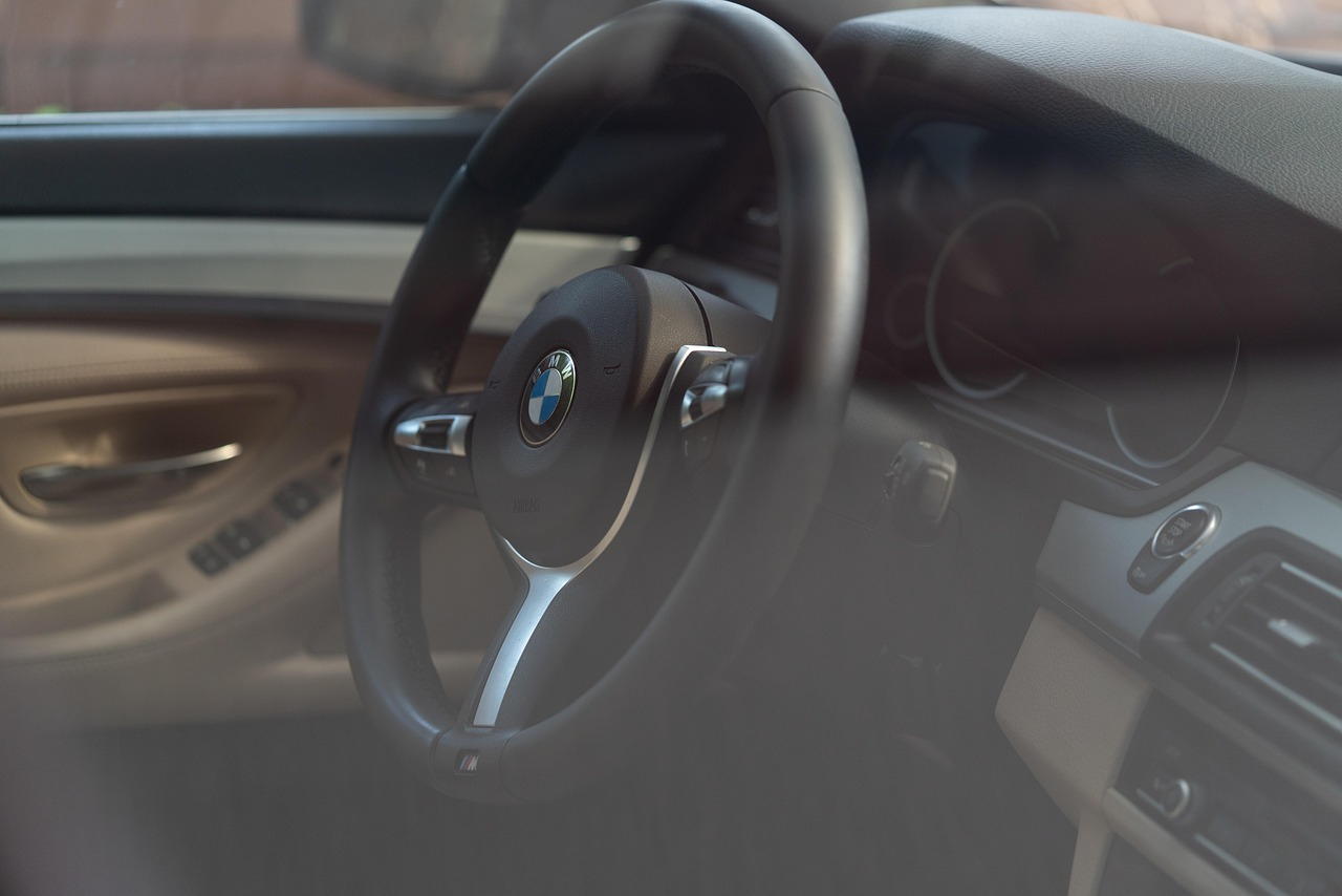 China-Elektroautos in Europa
